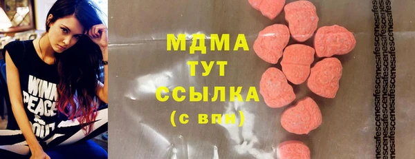 дживик Пересвет