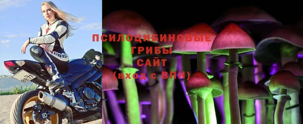 молекула духа Остров
