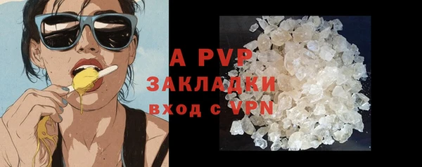 дживик Пересвет