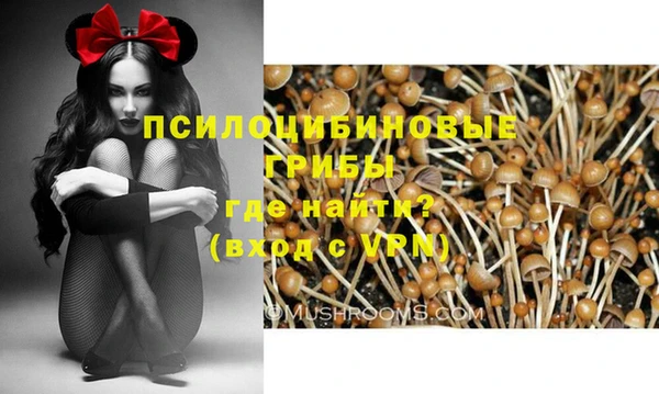 дживик Пересвет
