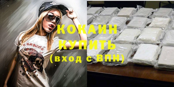 крисы Осинники