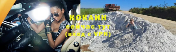 крисы Осинники