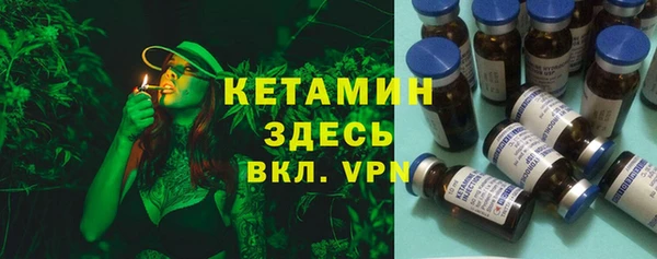 дживик Пересвет