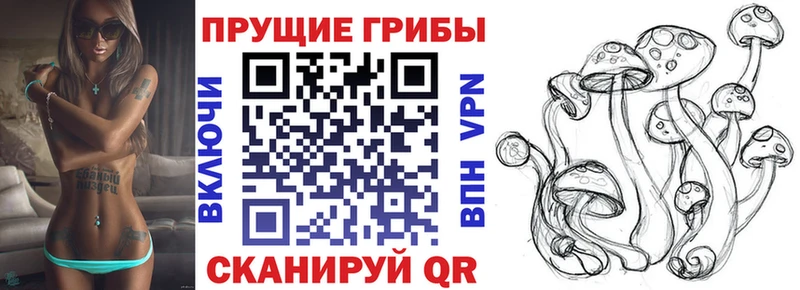 закладки  Сольцы  Галлюциногенные грибы прущие грибы 