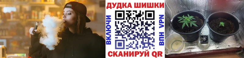 блэк спрут рабочий сайт Сольцы Марихуана планчик